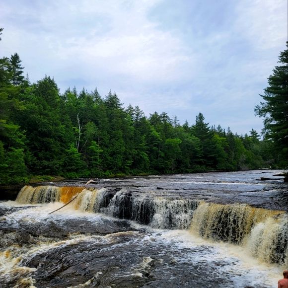 Meet your Posher, LaTricia - Picture 10 of 16